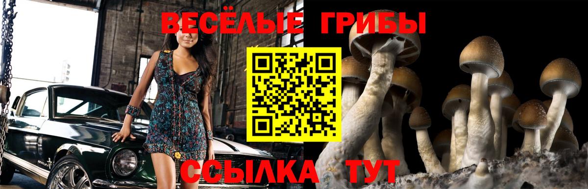 Галлюциногенные грибы MAGIC MUSHROOMS  Вход с VPN  Благодарный 